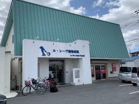 ル・レーヴ動物病院