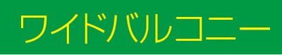 ワイドバルコニート